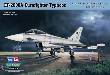 欧洲战斗机 EF-2000A“台风”  80264