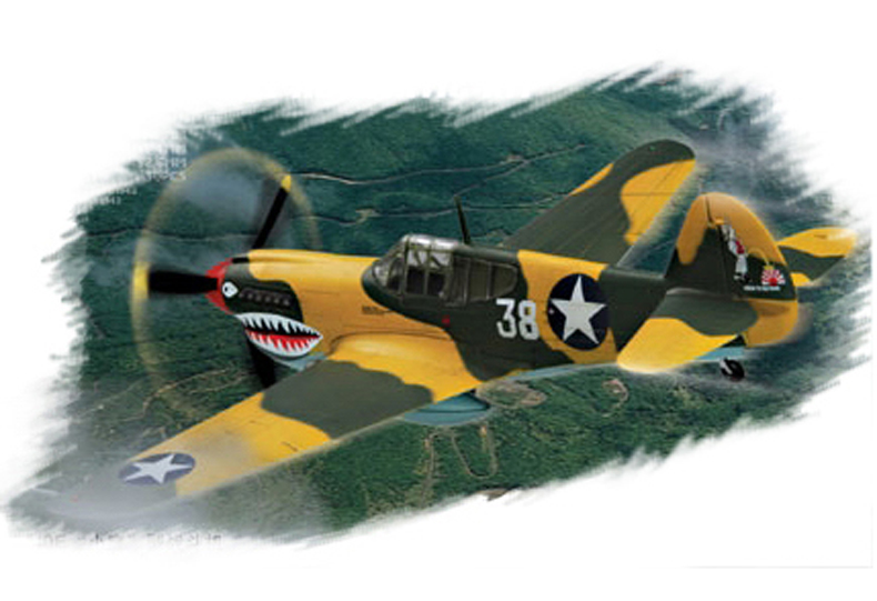 P-40E “小鹰“战斗机   80250