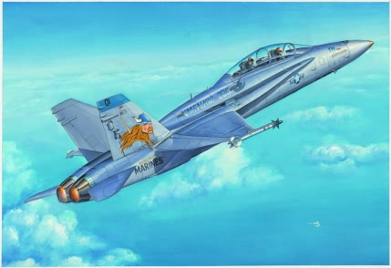 F/A-18D “大黄蜂”   80322