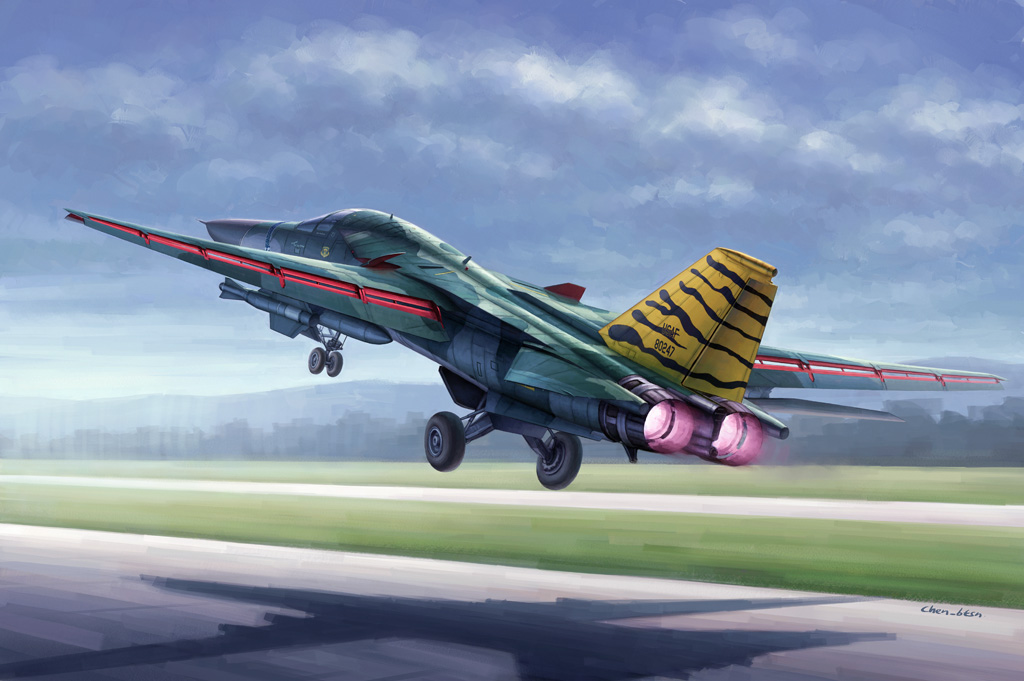 FB-111“土豚”战略轰炸机  80351