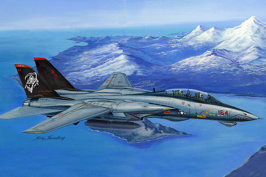 美国F-14D“超级雄猫”战斗机80368